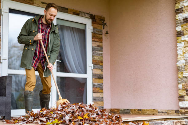 Best Electronics Removal Services  in , OH